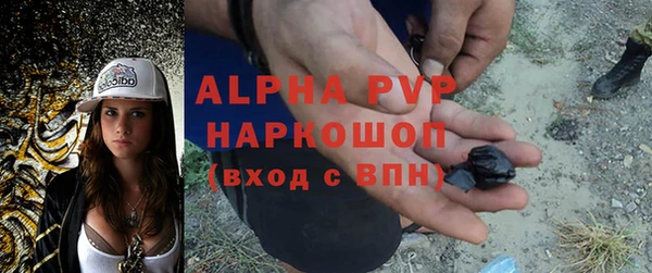 эйфоретик Покачи