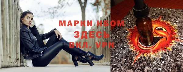эйфоретик Покачи