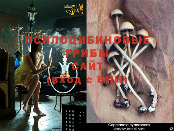 соль ск Покров