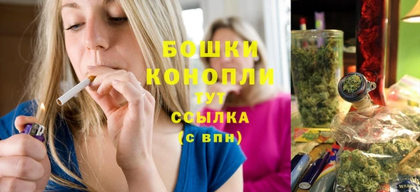 эйфоретик Покачи