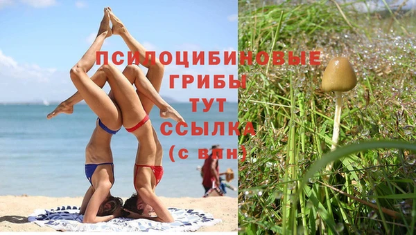 бутират Пересвет