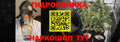 шишки Донецк