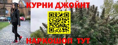герыч Дубна