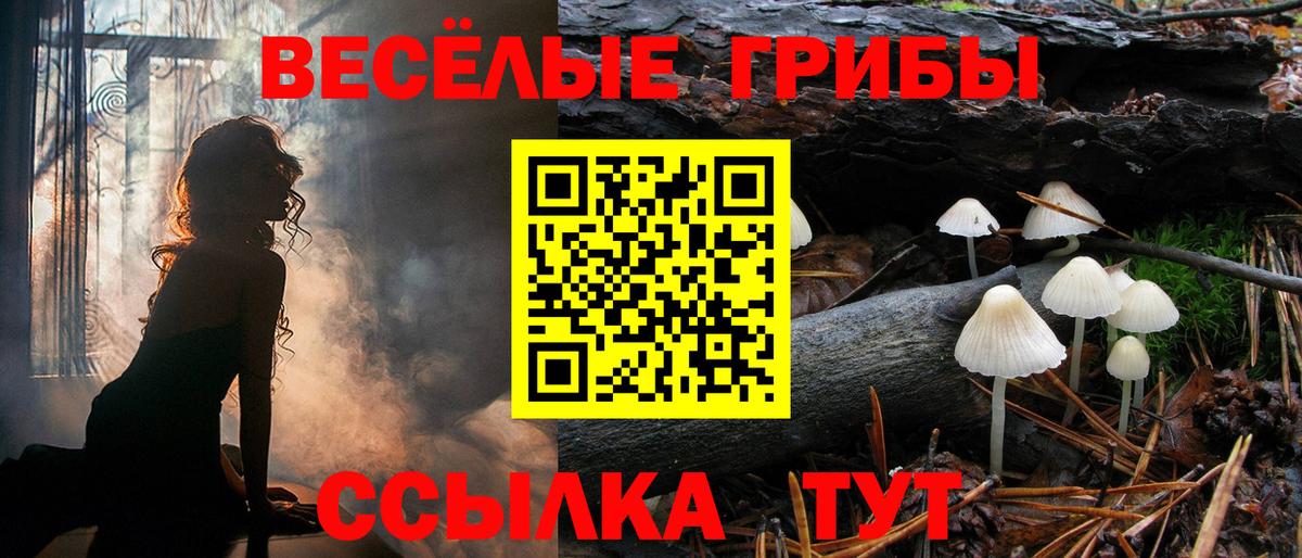 Галлюциногенные грибы Psilocybine cubensis  Вход с VPN  Псилоцибиновые грибы Psilocybine cubensis  Сухой Лог 