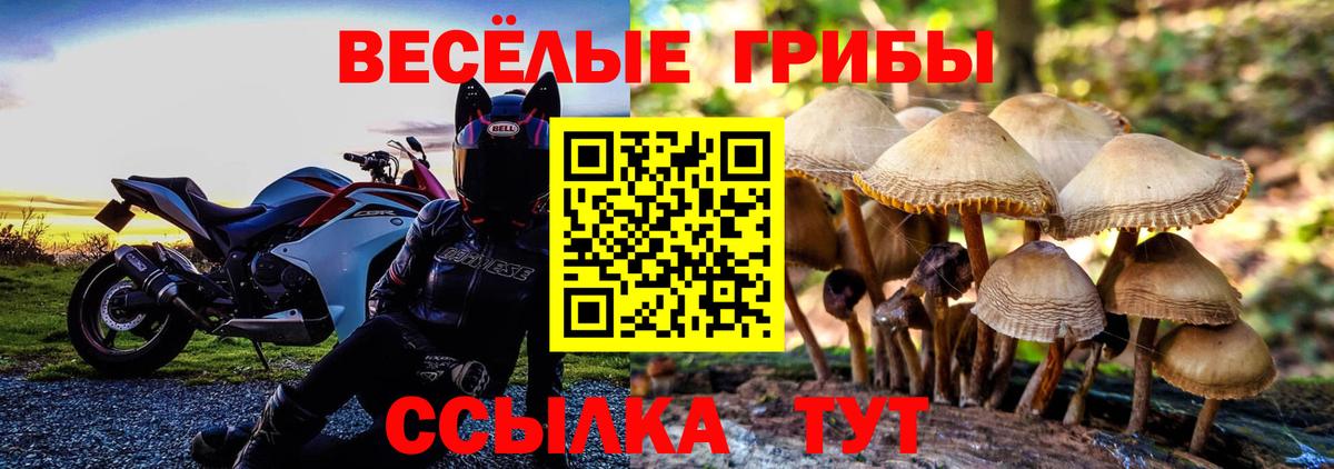 Псилоцибиновые грибы MAGIC MUSHROOMS Сухой Лог